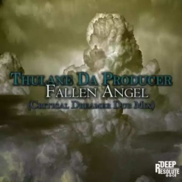 Thulane Da Producer - Fallen Angel (Critical Dreamer Overdub Mix)